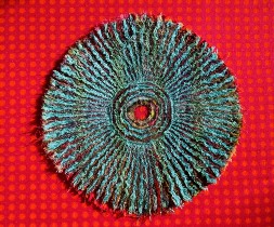 Lichen Acqua